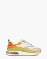 Bradbury Multicolor