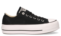 Converse Platform Canvas CT AS Low Top 560250C