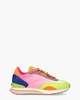Dragon Fruit Multicolor