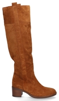 Gabor 51.679.14 Damesboots