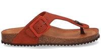 Gioia Meyra Rood Damesslippers