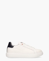 Helica 02 Wit/Blauw