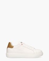 Helica 02 Wit/Cognac