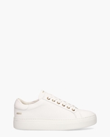 Jolie Pure Fresh Wit