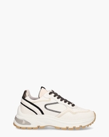 Liz Dulce Wit/Multicolor