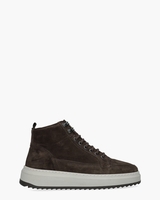 Rafa Sue Donkerbruin