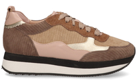 Rapid Soul PR17 Multicolor