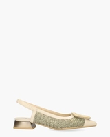 RHV254046 Beige/Groen Damespumps