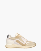 Selva 13.08 Beige/Multicolor