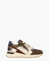 Selva 17.36 Multicolor