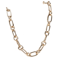 Souvenirs de Pomme Lima Small Chain Necklace Goud Ketting