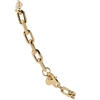 Souvenirs de Pomme Link Medium Chain Bracelet Goud Armband