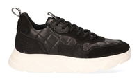 Steve Madden Pitty Zwart