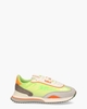 Surreal Multicolor