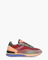 The James Multicolor