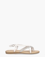 Tippy Wit/Zilver Damessandalen