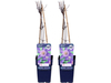 2x Clematis 
