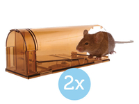 2x Knock Off Muizenval Levend