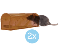 2x Knock Off Rattenval Levend