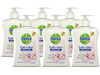 6x Dettol LHS Care+ Zeep 250 ml