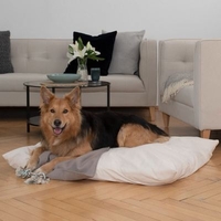 Honden knuffelkussen "Suave"