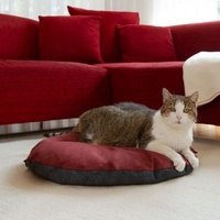 Katten knuffelkussen "Suave"