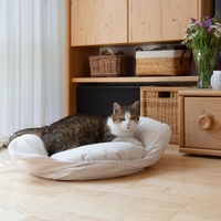 Kattenbed "Cuma"