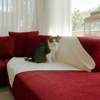 Kattendeken "Calina"