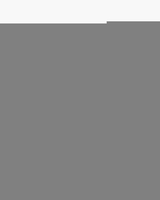 2035 Taupe Herenriem