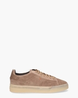 21553 Taupe