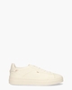 21553 Wit