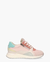2507-06.03 Multicolor