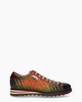 2900 Multicolor