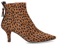 AGL D239501 Bruin/Zwart Dames Enkelboots