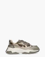 Channing Beige/Multicolor