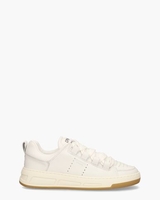 CPH213 Wit
