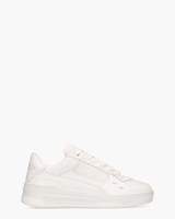 Cruiser Crumbs Wit