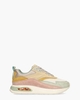 Griffith Multicolor