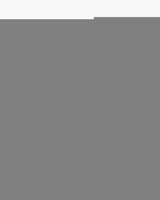 HI233031 Brons Dames Enkelboots