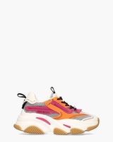 Possession Multicolor