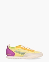 Seagull Multicolor