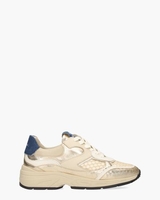 Talla 04.02 Goud