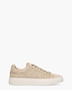 Ted Taupe