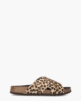 Teddy Bruin/Zwart Damesslipper