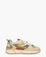 Tennessee Multicolor