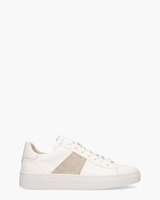 Teun Wit/Taupe