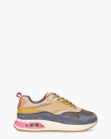 Toronto Multicolor