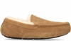UGG Ascot Bruin Herenpantoffels
