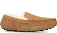 UGG Ascot Bruin Herenpantoffels