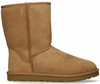 UGG Classic Short Boot Cognac Herenboots